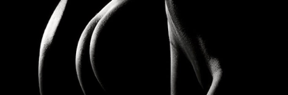 二月和七月 banner