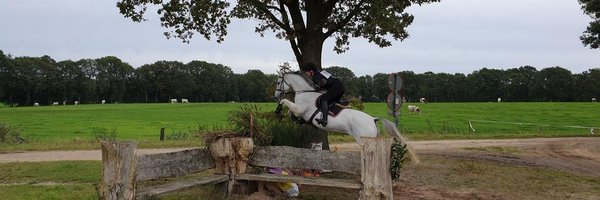 whaverkamp Profile Banner