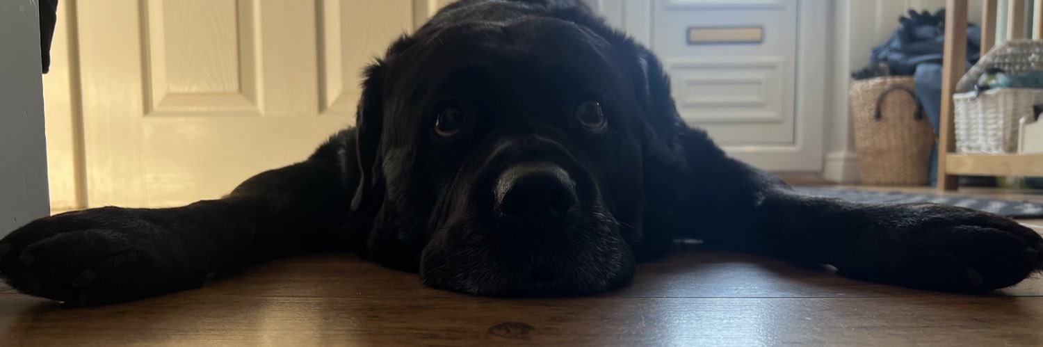 QuayleSte's profile banner image