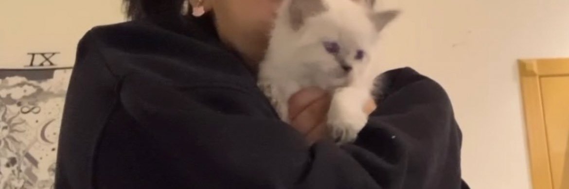 K banner