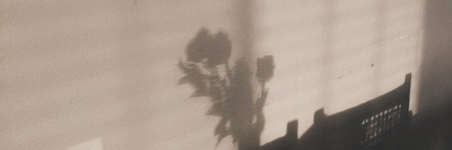 MusicDupont's profile banner image