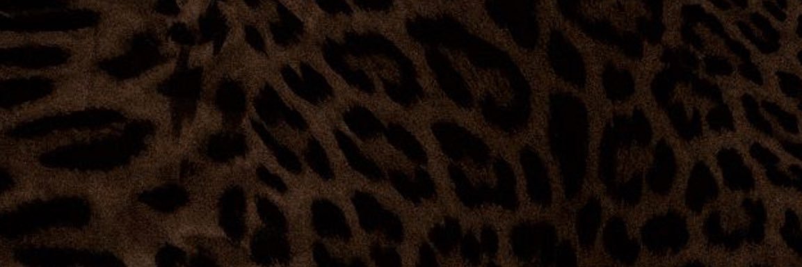 iiwd75's profile banner image