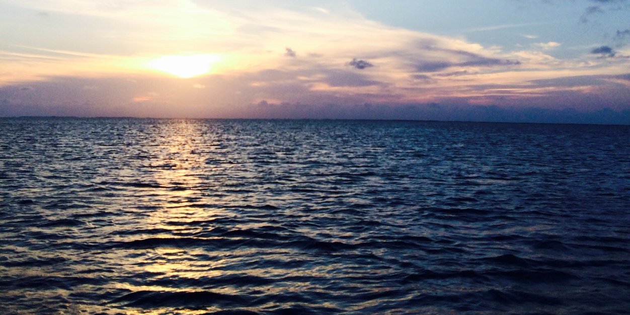 Coastal_W_C's profile banner image
