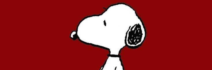 chapeuzinho 🫪 banner