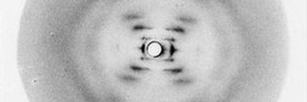 AVRMolBio Profile Banner