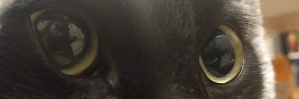 KyleTheCoder Profile Banner