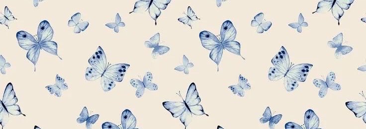 fioreseghezzi's profile banner image