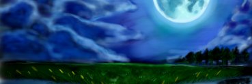 sunauo's profile banner image