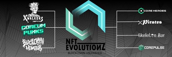 NftEvolutionz Profile Banner