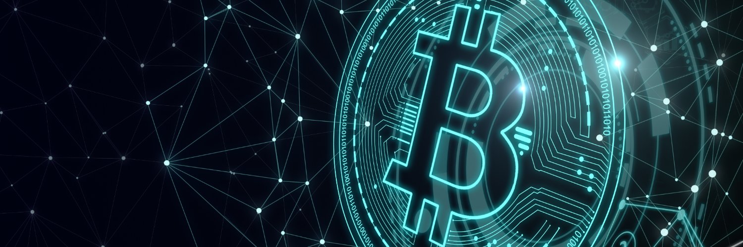 CRYPTOturtle⚡ banner