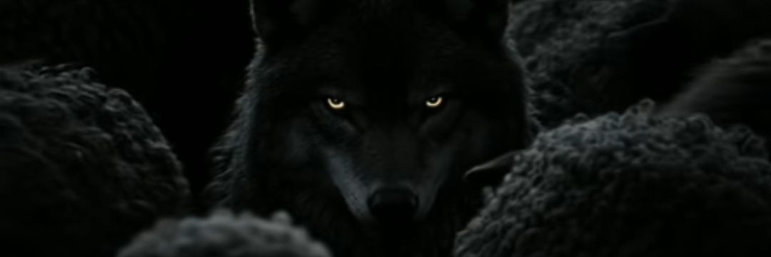 akbbysf's profile banner image