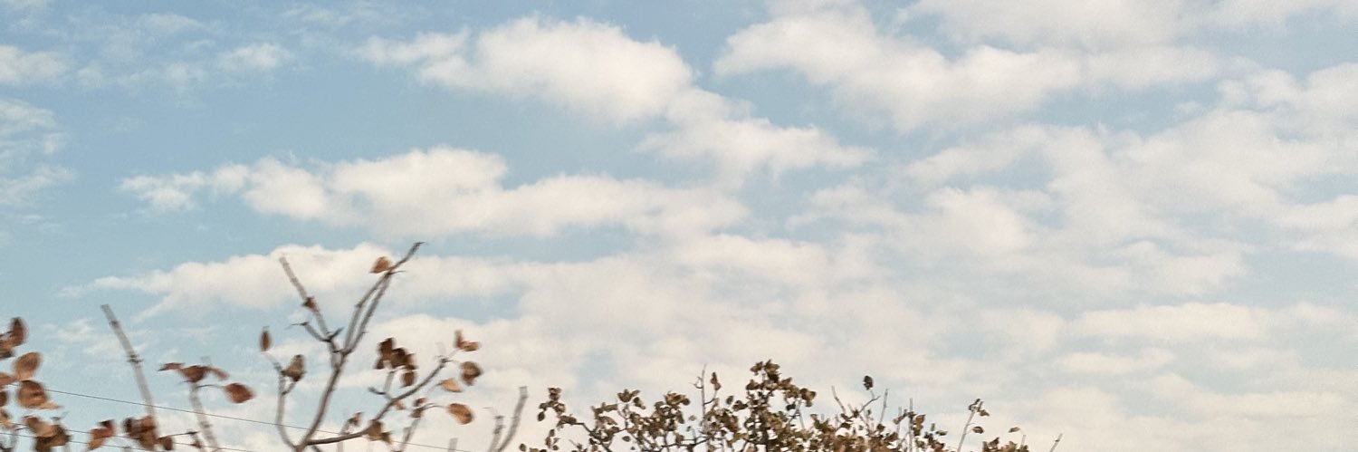 Sedaaefil's profile banner image