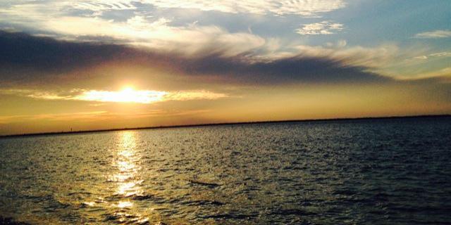 brainwaverider's profile banner image