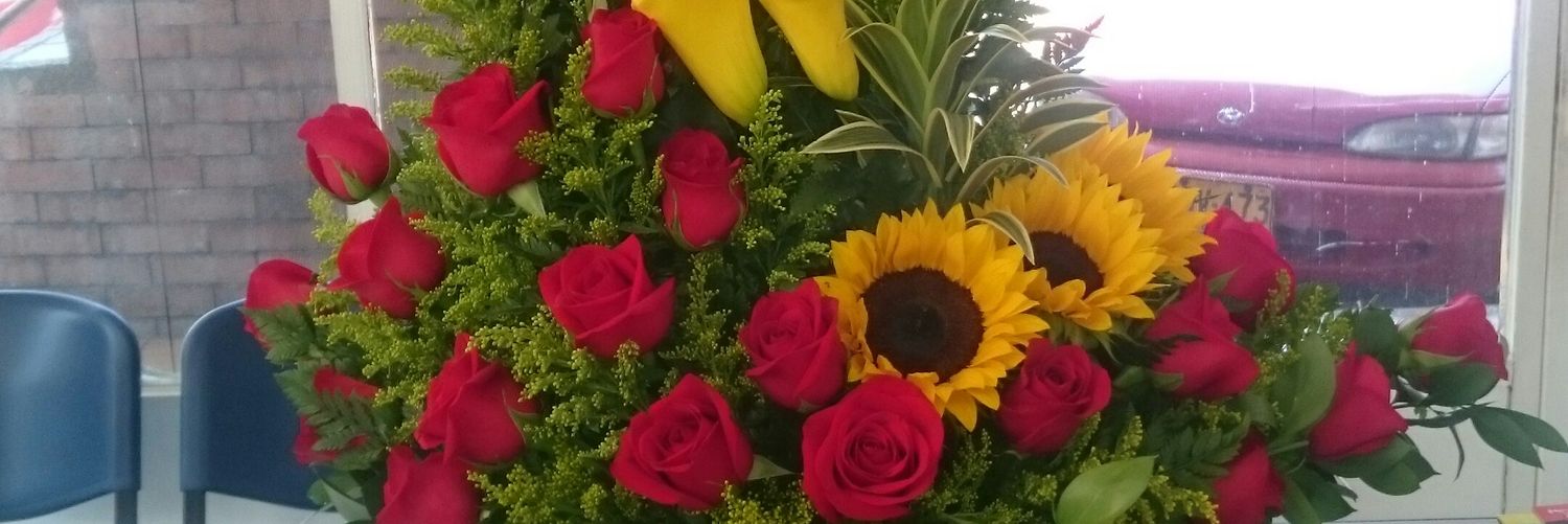 nefagonzalez's profile banner image