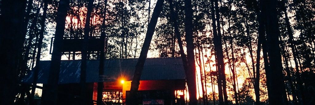 desizeatifani's profile banner image