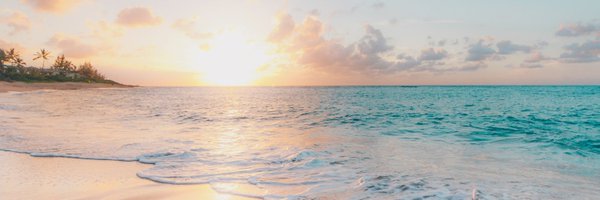 PearlwPerla Profile Banner