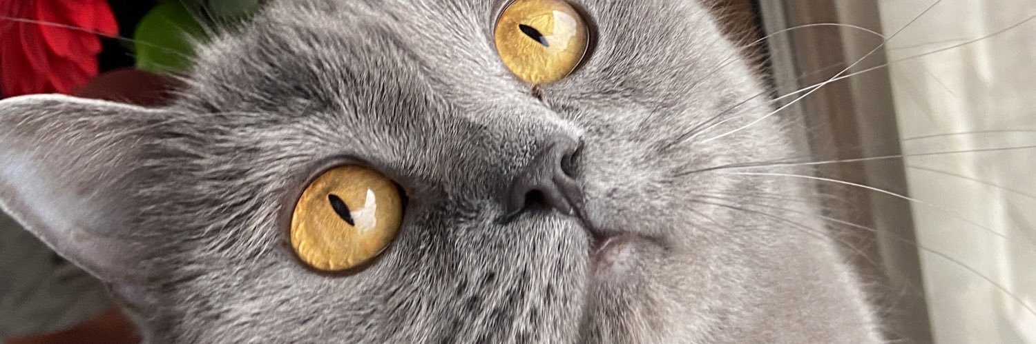 Mars yani akullu ve yakışnıknı banner