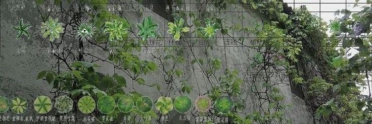 noones🥀 banner