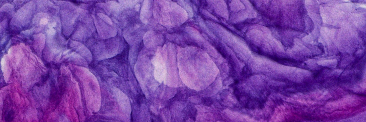 Kayla Hackman banner