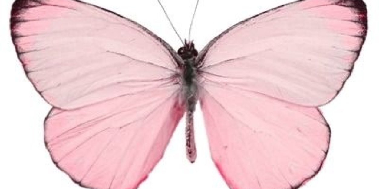 stillnotyourdee's profile banner image