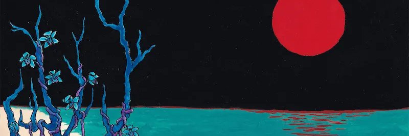 Lily🌸🐾🏳️‍⚧️🇵🇱's banner
