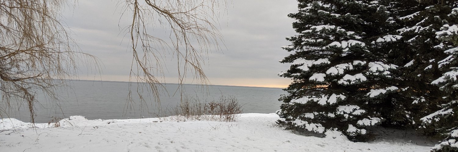 Maria DiDanieli banner