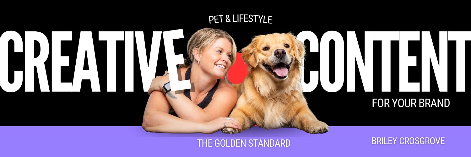 Briley | UGC Creator + Creative Strategist banner