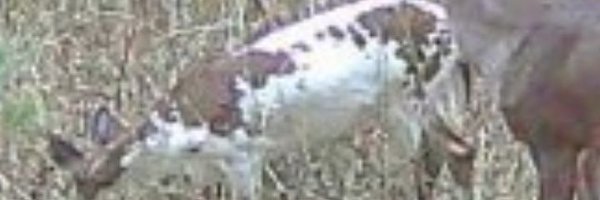 markw11962 Profile Banner