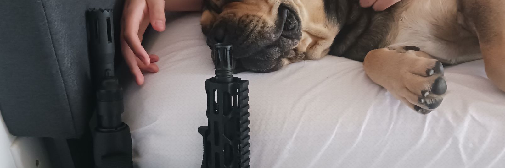 Guns & Guard Dogs banner