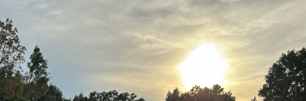AlfredoGarzza's profile banner image