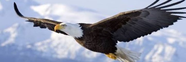 glor_55's profile banner image