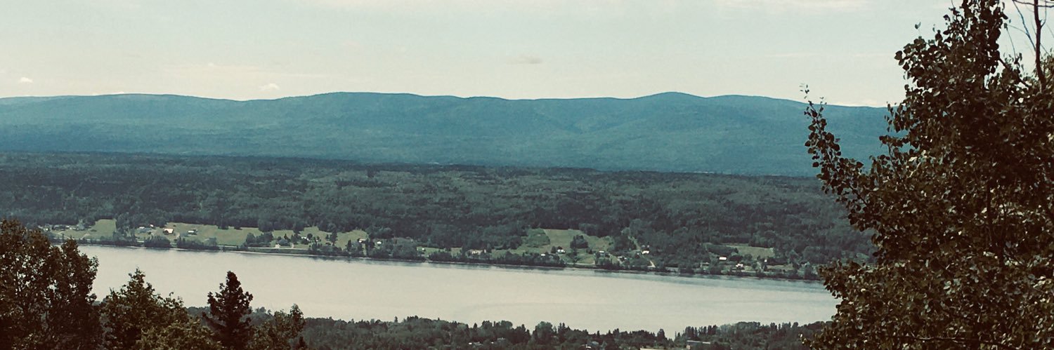S. E. Fortin's banner
