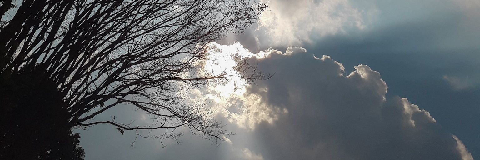 saowed's profile banner image