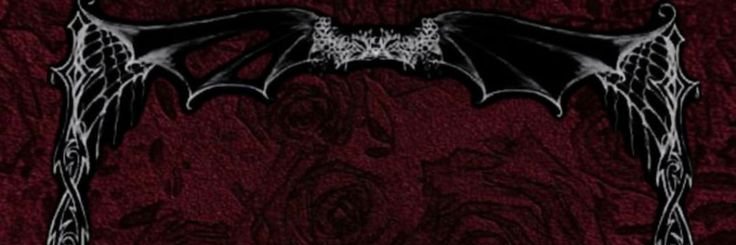 ༞ su4ve ! ! 𖦹◌° • banner