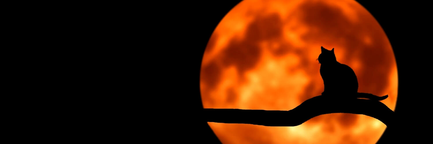 burutii's profile banner image