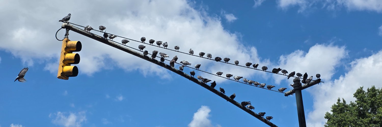 🥪 FGvW 🥪 banner