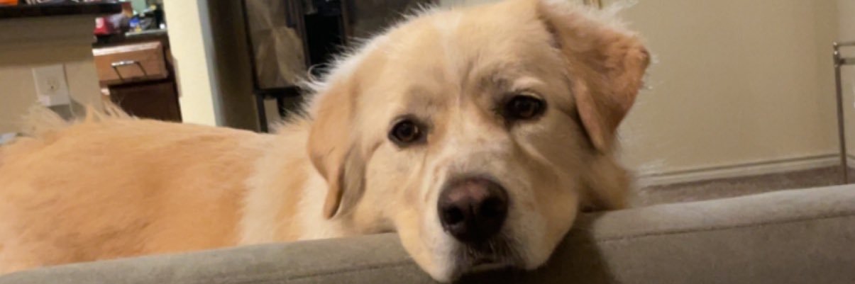 rabinowitzlexi's profile banner image