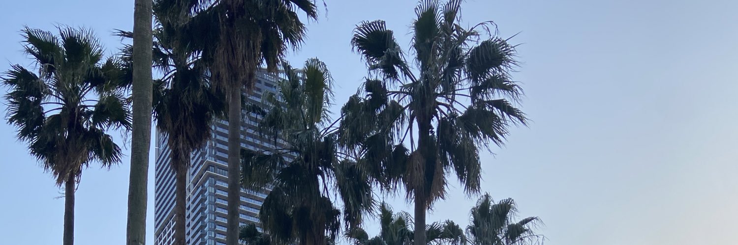 kecsn's profile banner image