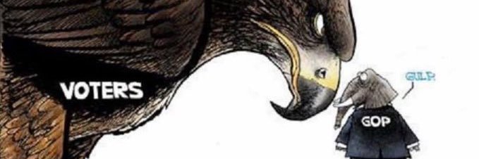 SkyRedMerle's profile banner image