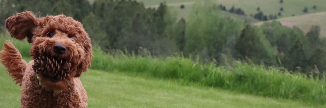 sky_anderson2's profile banner image