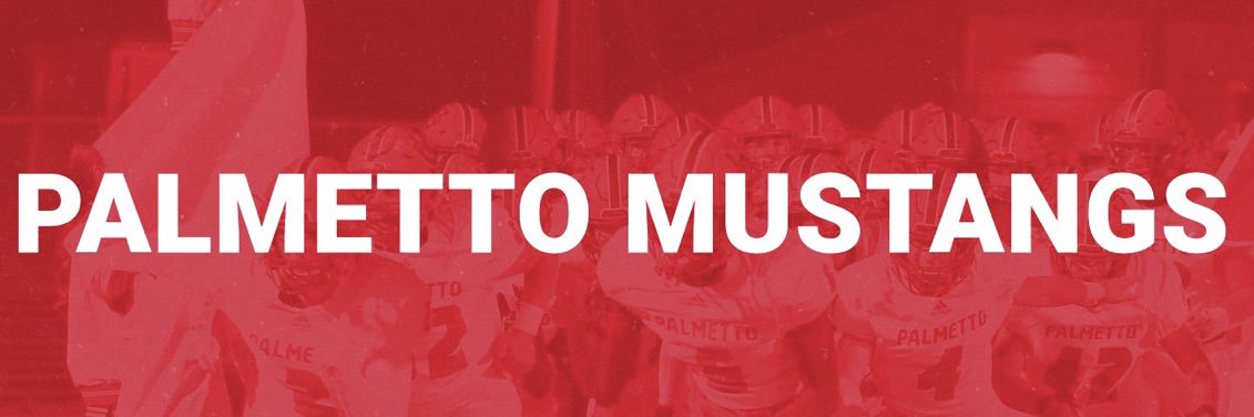 Palmetto Mustangs FB banner