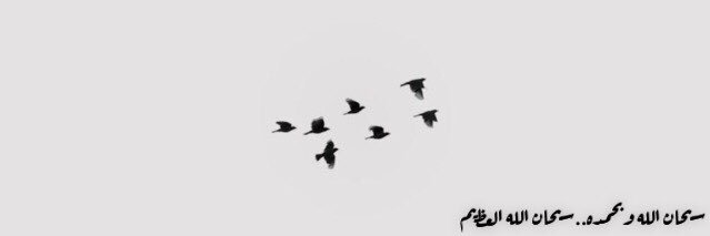 Al_maha0o's profile banner image