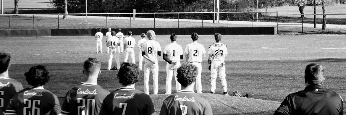 Sullivan Eagles Baseball banner