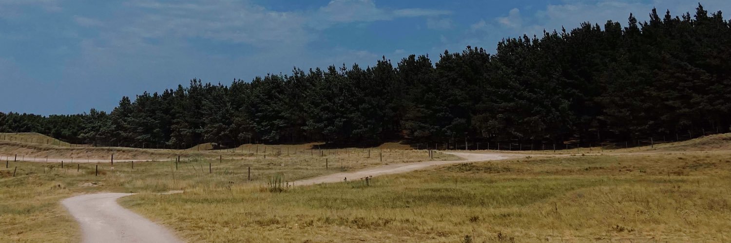 abruballester's profile banner image