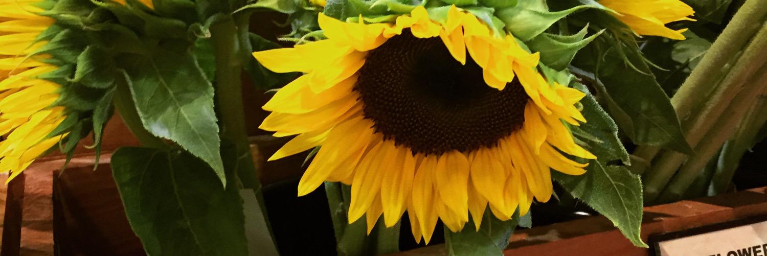 ashleededwards's profile banner image