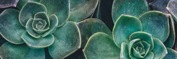 streamclimate Profile Banner