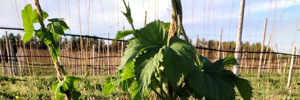 kylewynette Profile Banner