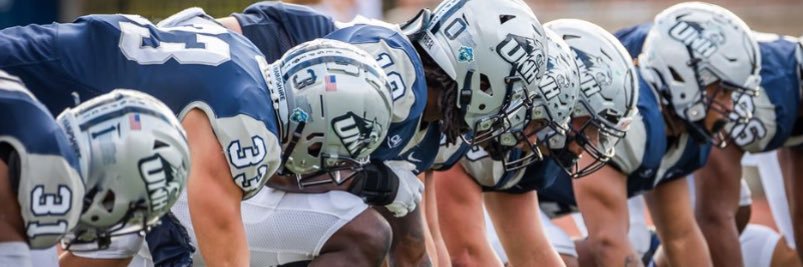 Dan Sullivan IV banner