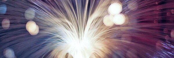 NSLAorg Profile Banner