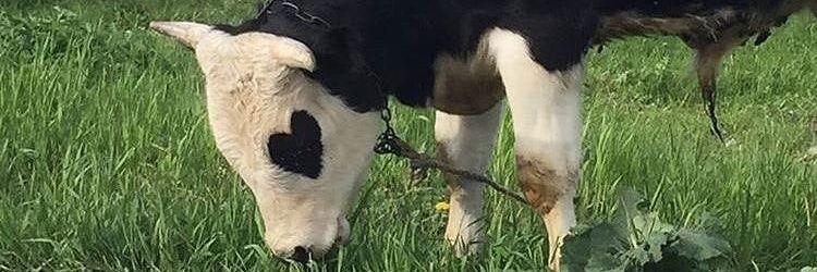 earthbabey's profile banner image